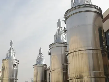 Petrochemical projects