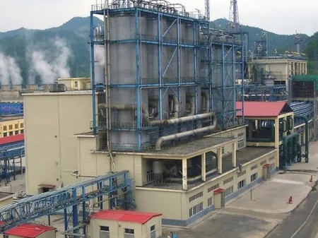 Petrochemical projects