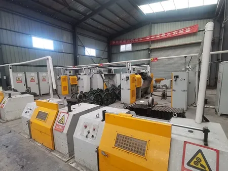 Wire descaling line
